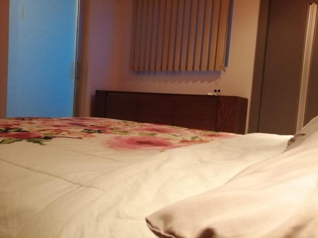 Pule Pule Hostal Boutique Guadalajara Eksteriør billede