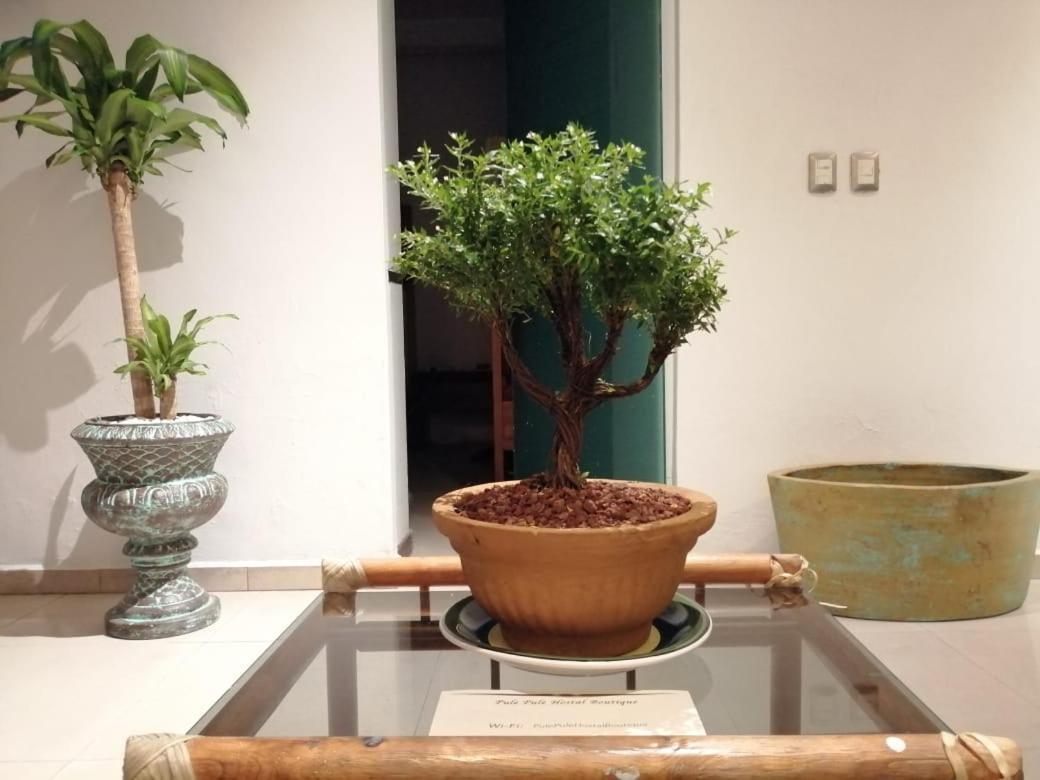Pule Pule Hostal Boutique Guadalajara Eksteriør billede